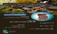 برگزاری روز سوم از مدرسه تابستانی هفت روزه مدیریت بیماری‌های گوارش و کبد با طب ایرانی و‌ مکمل